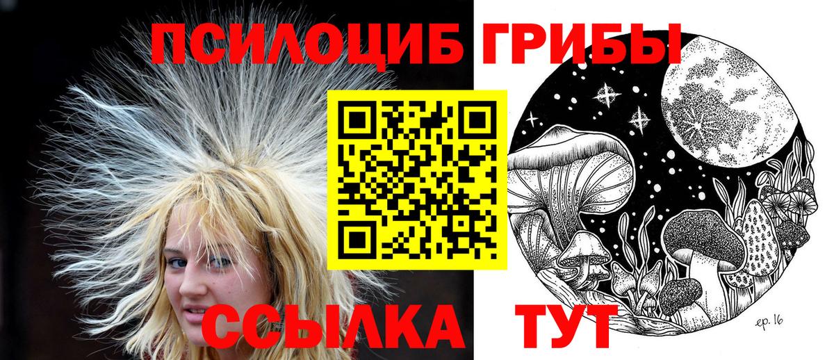Мурманск  Псилоцибиновые грибы MAGIC MUSHROOMS  Вход с VPN 